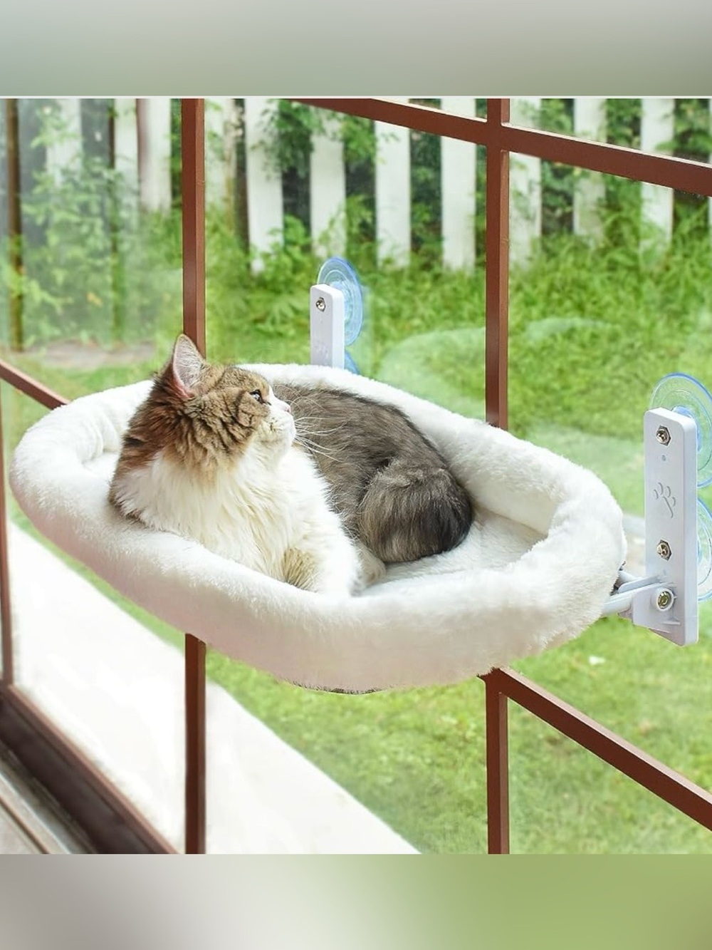AMOSIJOY Cordless Cat bed Window wall Perch with 4 Strong Suction Cups